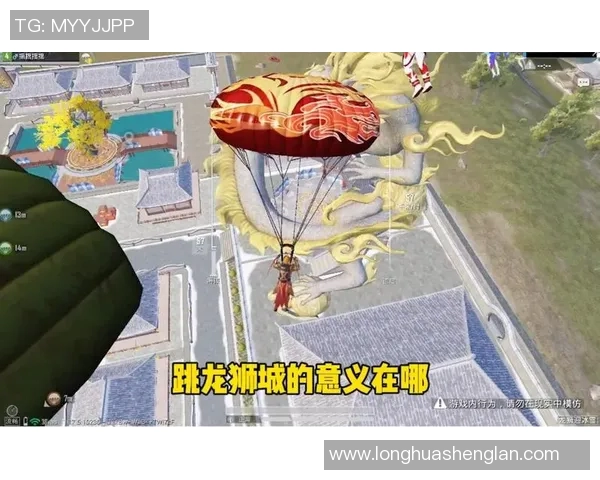 陈丽专访揭秘和平精英成功背后的策略与创新之路