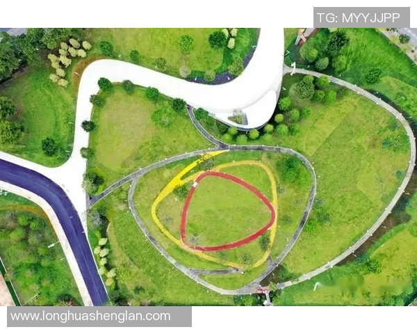 重庆飞盘队与南京飞盘队赛后战术分析与复盘总结 重庆飞盘队与南京飞盘队赛后战术分析与复盘总结